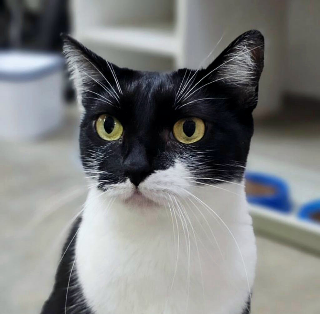 Hera