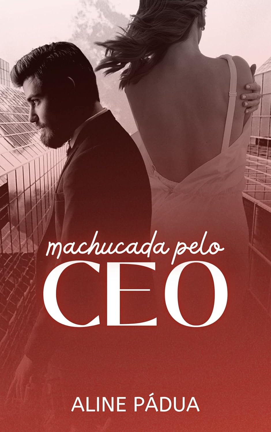 Capa do Livro 4 da saga O QUE SOBROU