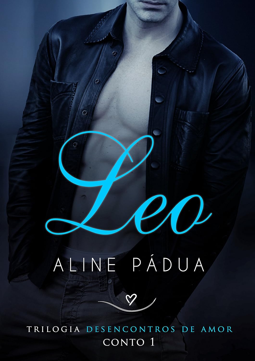 Capa do Livro 1 da trilogia DESENCONTROS DO AMOR