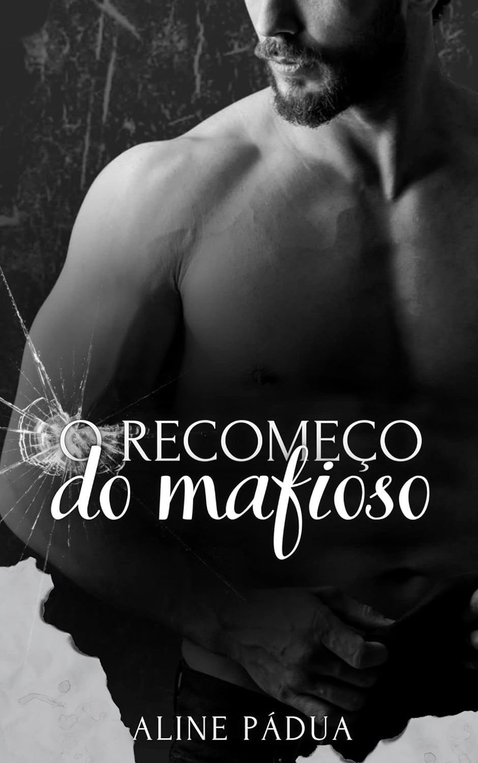 Capa do Livro 1 da saga OS VALLEN