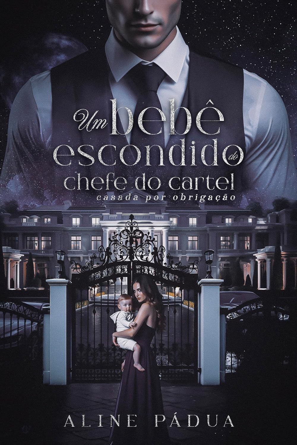Capa do Livro 2 da saga Cartel García