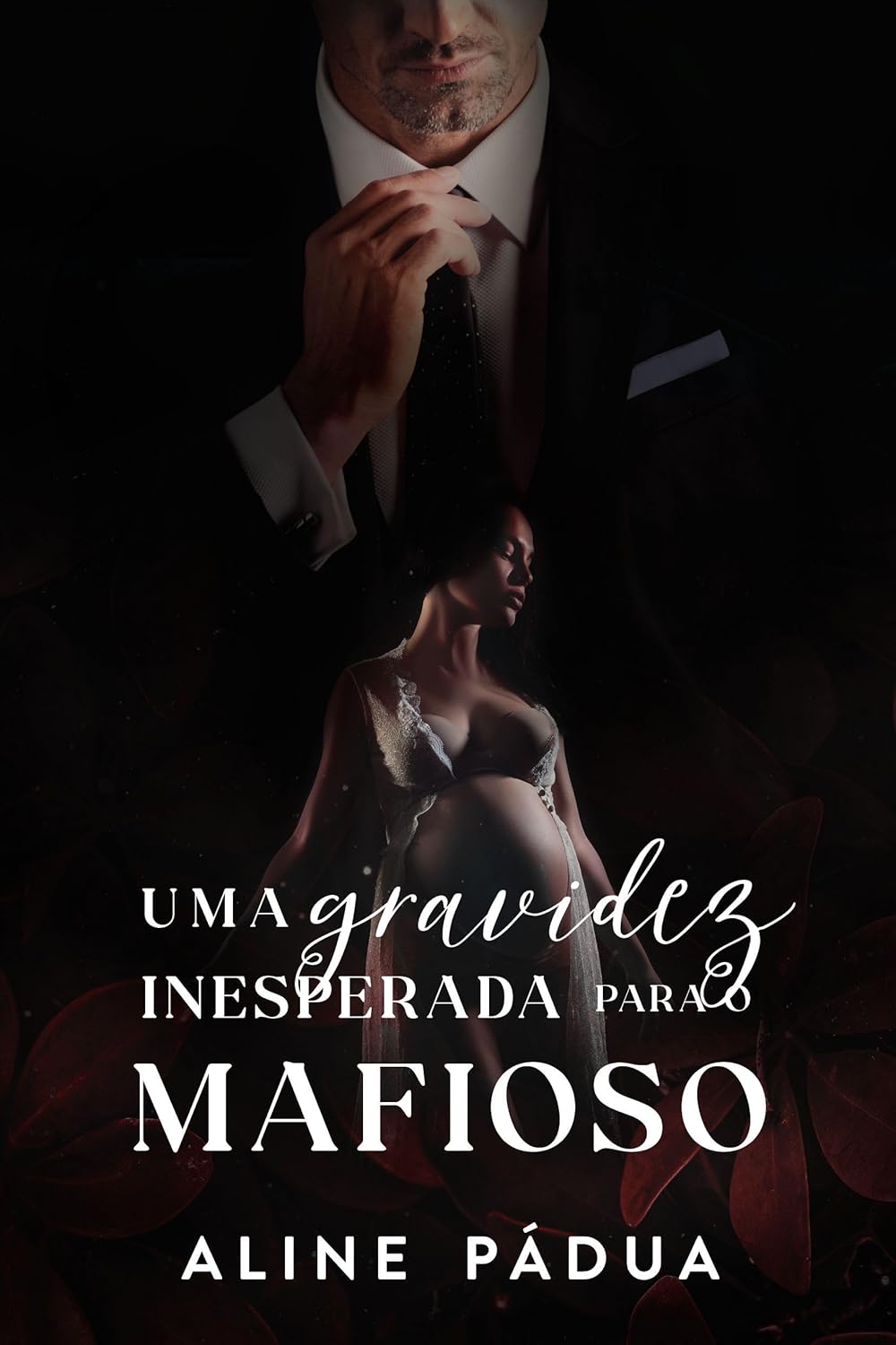 Capa do Livro 5 da saga OS KANGS